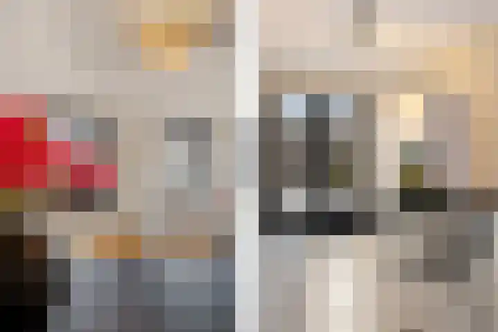 Gerbrigslân 1 Goutum thumbnail 21