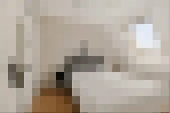 Gerbrigslân 1 Goutum thumbnail 22