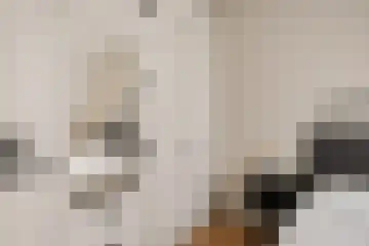 Gerbrigslân 1 Goutum thumbnail 23
