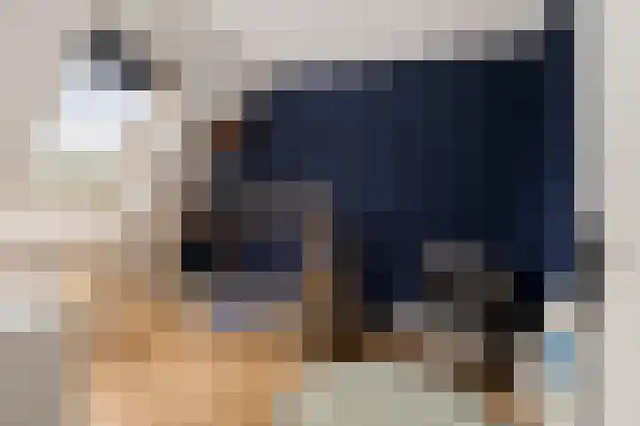Gerbrigslân 1 Goutum thumbnail 24