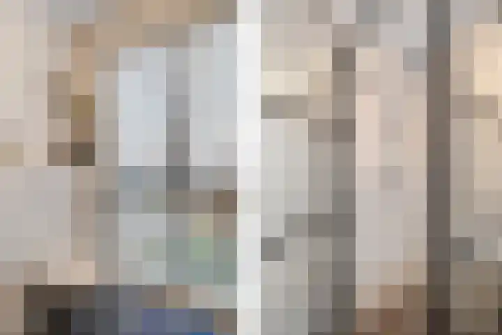Gerbrigslân 1 Goutum thumbnail 30