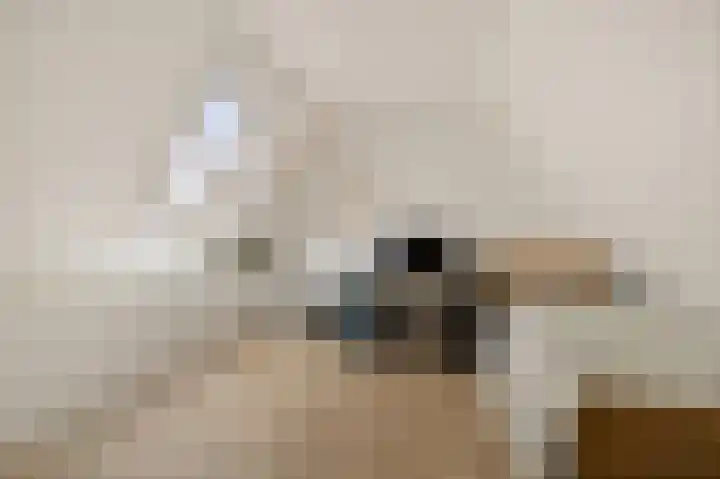 Gerbrigslân 1 Goutum thumbnail 32