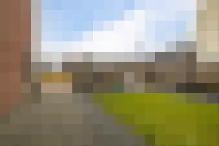 Gerbrigslân 1 Goutum thumbnail 34