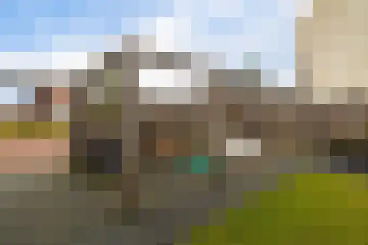 Gerbrigslân 1 Goutum thumbnail 35