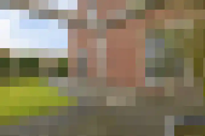 Gerbrigslân 1 Goutum thumbnail 37
