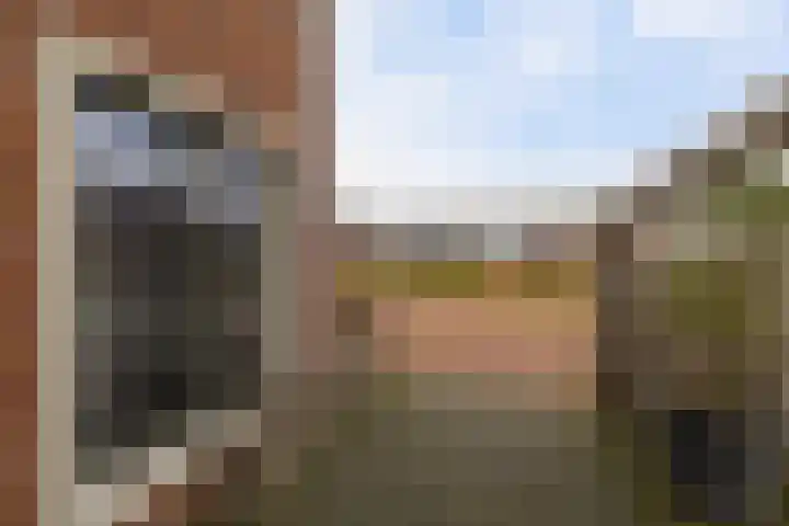 Gerbrigslân 1 Goutum thumbnail 39