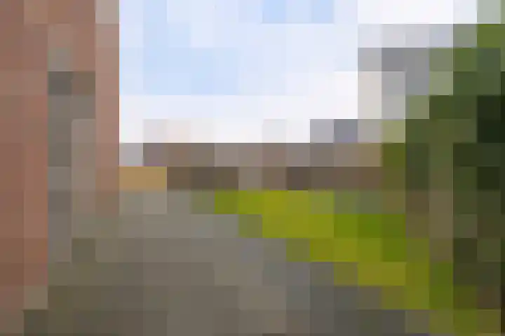 Gerbrigslân 1 Goutum thumbnail 40