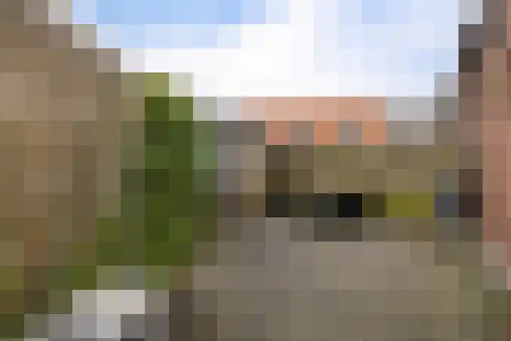 Gerbrigslân 1 Goutum thumbnail 41