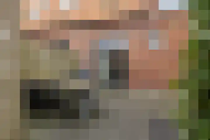 Gerbrigslân 1 Goutum thumbnail 43