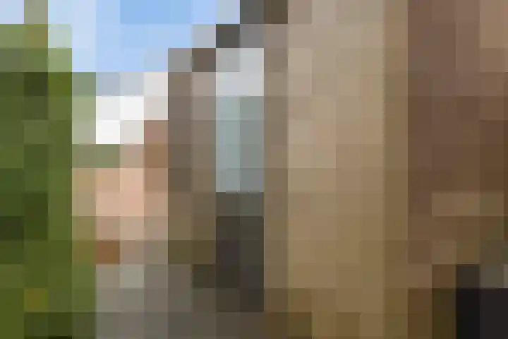 Gerbrigslân 1 Goutum thumbnail 44