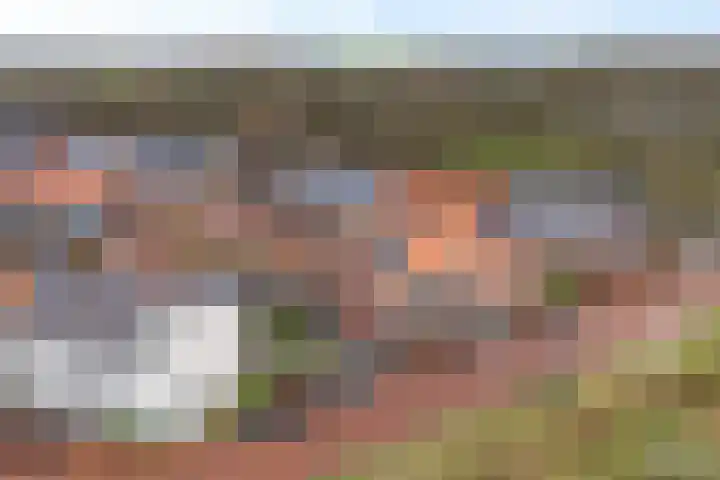Gerbrigslân 1 Goutum thumbnail 46