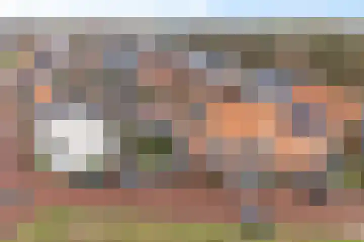 Gerbrigslân 1 Goutum thumbnail 47