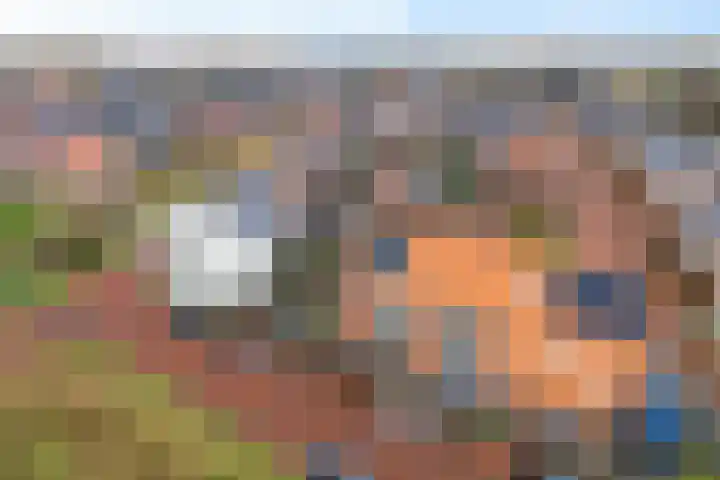 Gerbrigslân 1 Goutum thumbnail 48