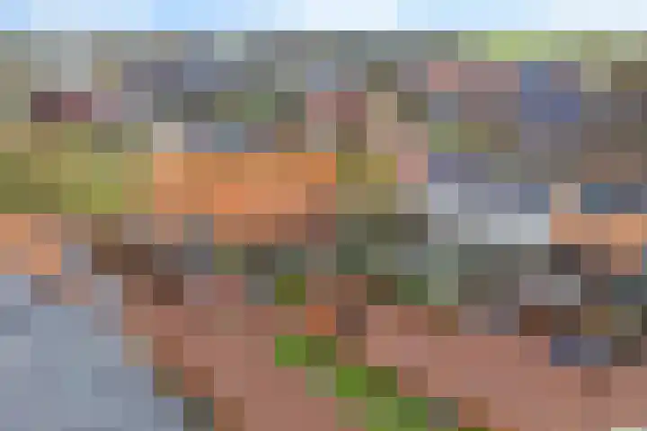 Gerbrigslân 1 Goutum thumbnail 49