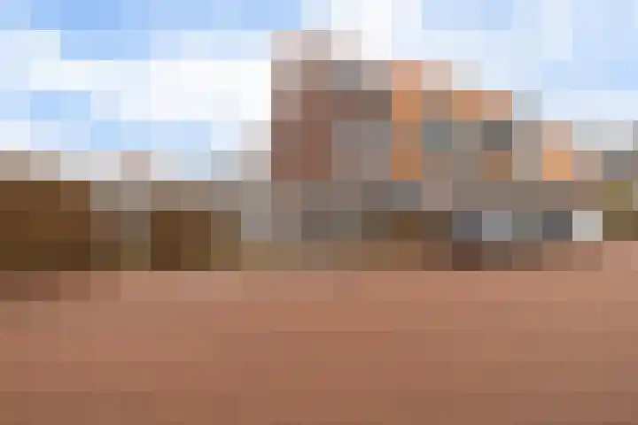 Gerbrigslân 1 Goutum thumbnail 5