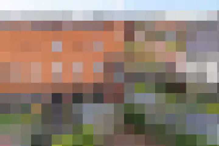 Gerbrigslân 1 Goutum thumbnail 50