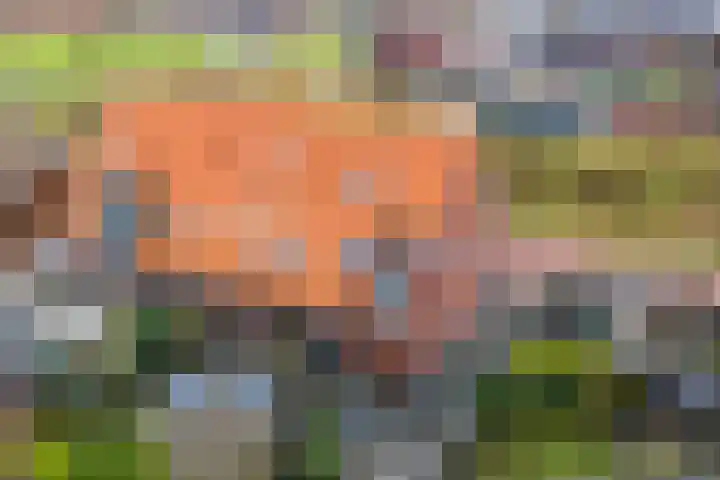 Gerbrigslân 1 Goutum thumbnail 51