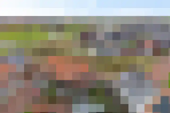 Gerbrigslân 1 Goutum thumbnail 52