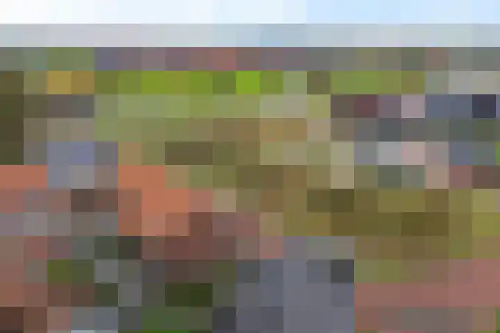 Gerbrigslân 1 Goutum thumbnail 53