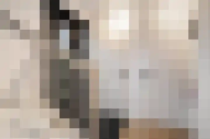 Gerbrigslân 1 Goutum thumbnail 8