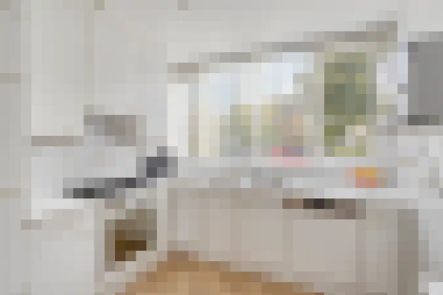 Gerda Brautigamsingel 110 Leiden thumbnail 12