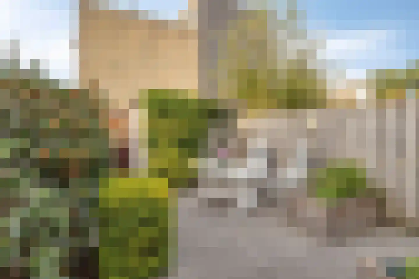 Gerda Brautigamsingel 110 Leiden thumbnail 17