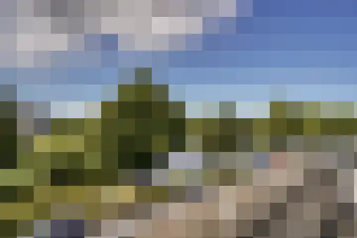 Gerda Brautigamsingel 58 Leiden thumbnail 37