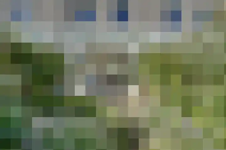 Gerda Brautigamsingel 58 Leiden thumbnail 4