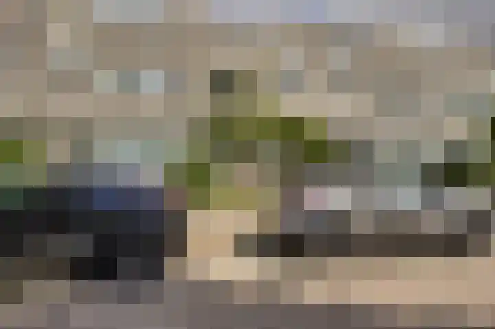 Gerda Brautigamsingel 58 Leiden thumbnail 8