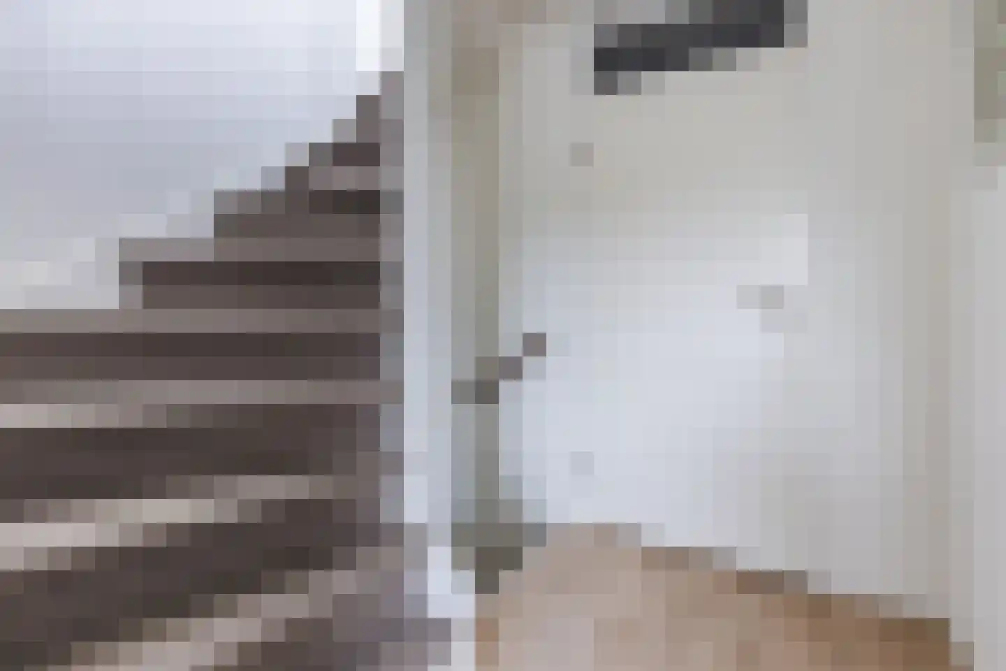 Gerda Brautigamstraat 2 Amsterdam thumbnail 24