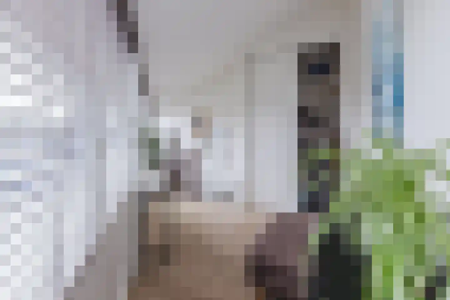 Gerda Brautigamstraat 2 Amsterdam thumbnail 27