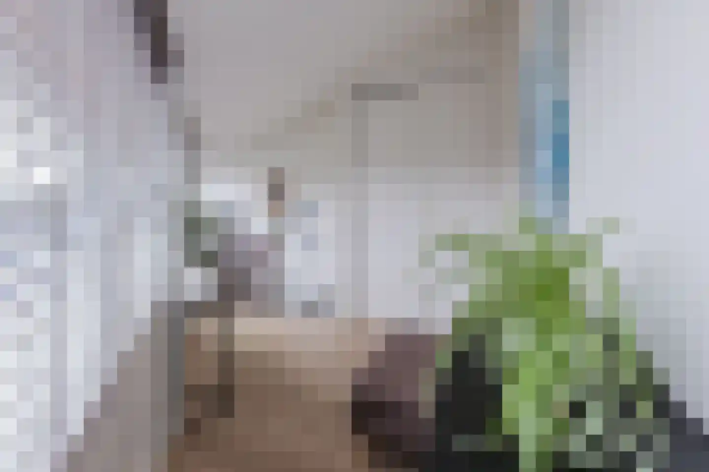 Gerda Brautigamstraat 2 Amsterdam thumbnail 28