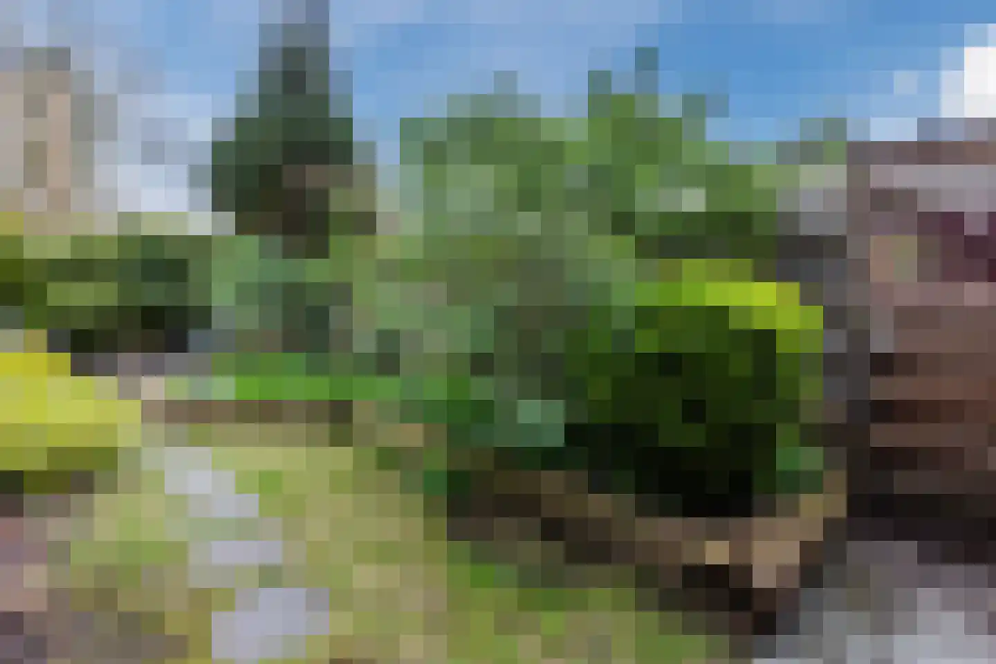 Gerda Brautigamstraat 2 Amsterdam thumbnail 33