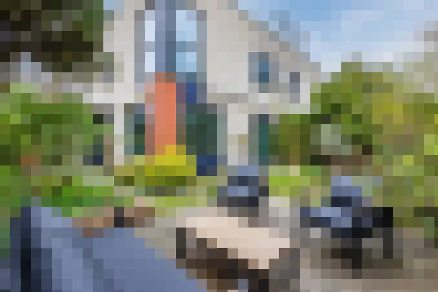 Gerda Brautigamstraat 2 Amsterdam thumbnail 34