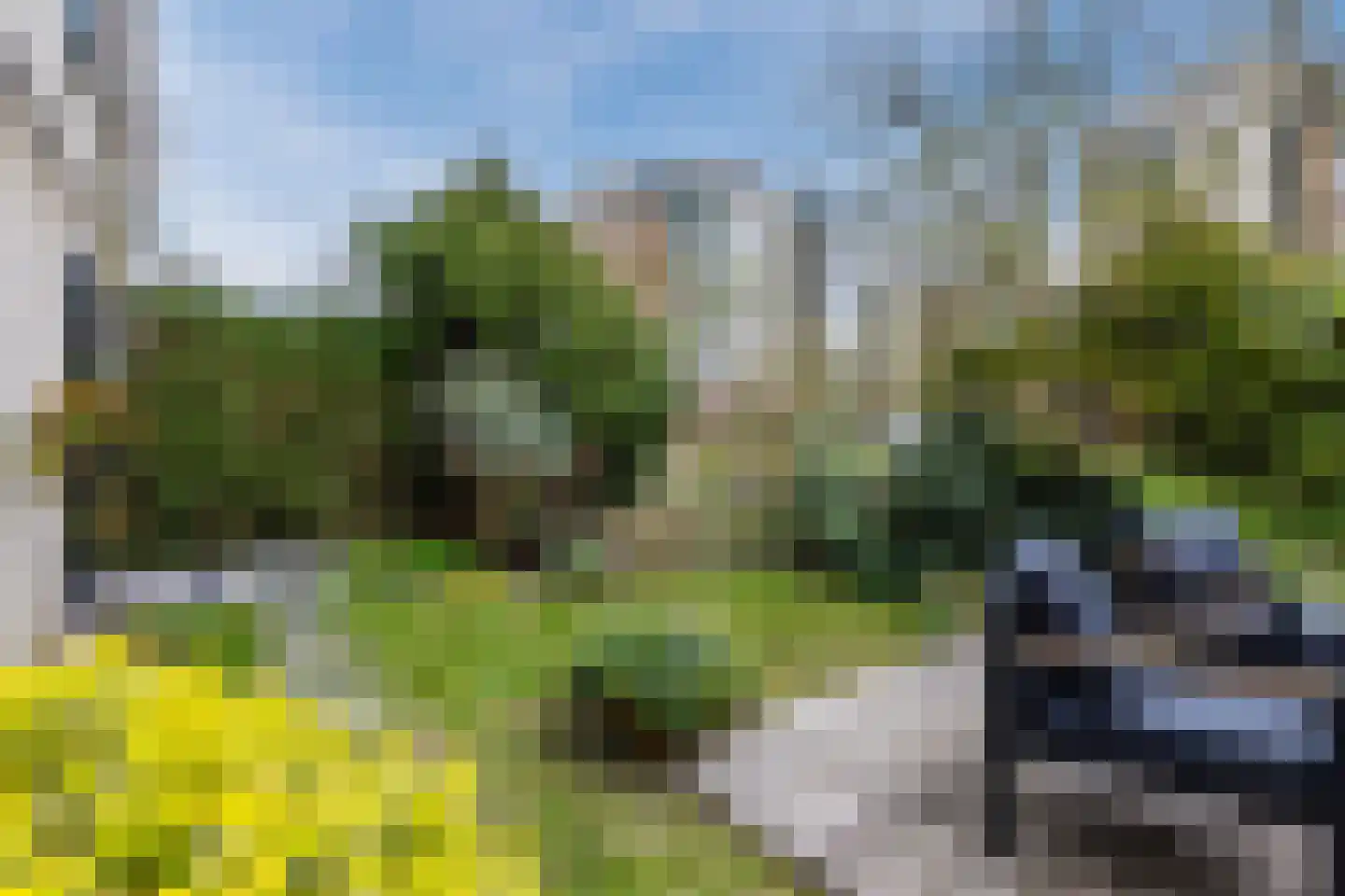 Gerda Brautigamstraat 2 Amsterdam thumbnail 35