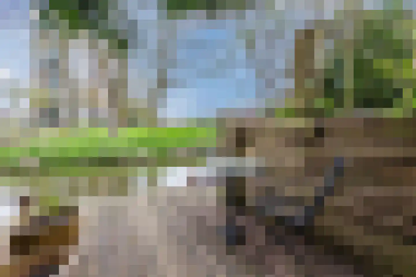 Gerda Brautigamstraat 2 Amsterdam thumbnail 36