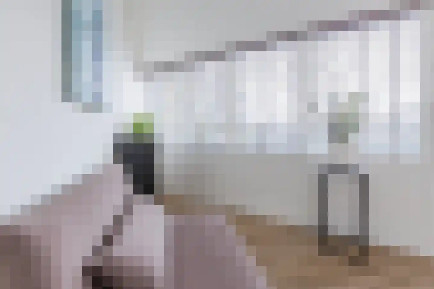 Gerda Brautigamstraat 2 Amsterdam thumbnail 5