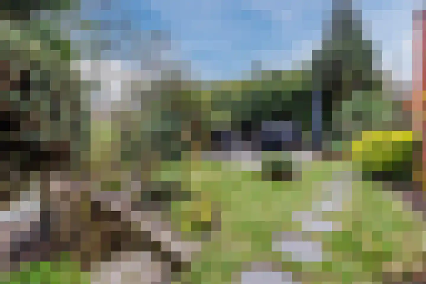 Gerda Brautigamstraat 2 Amsterdam thumbnail 6