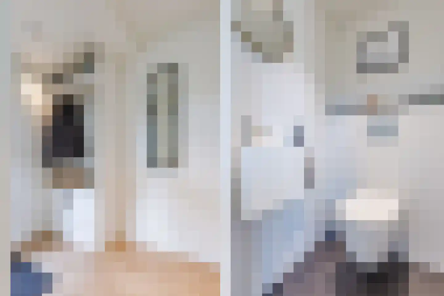 Gerda Brautigamstraat 2 Amsterdam thumbnail 8