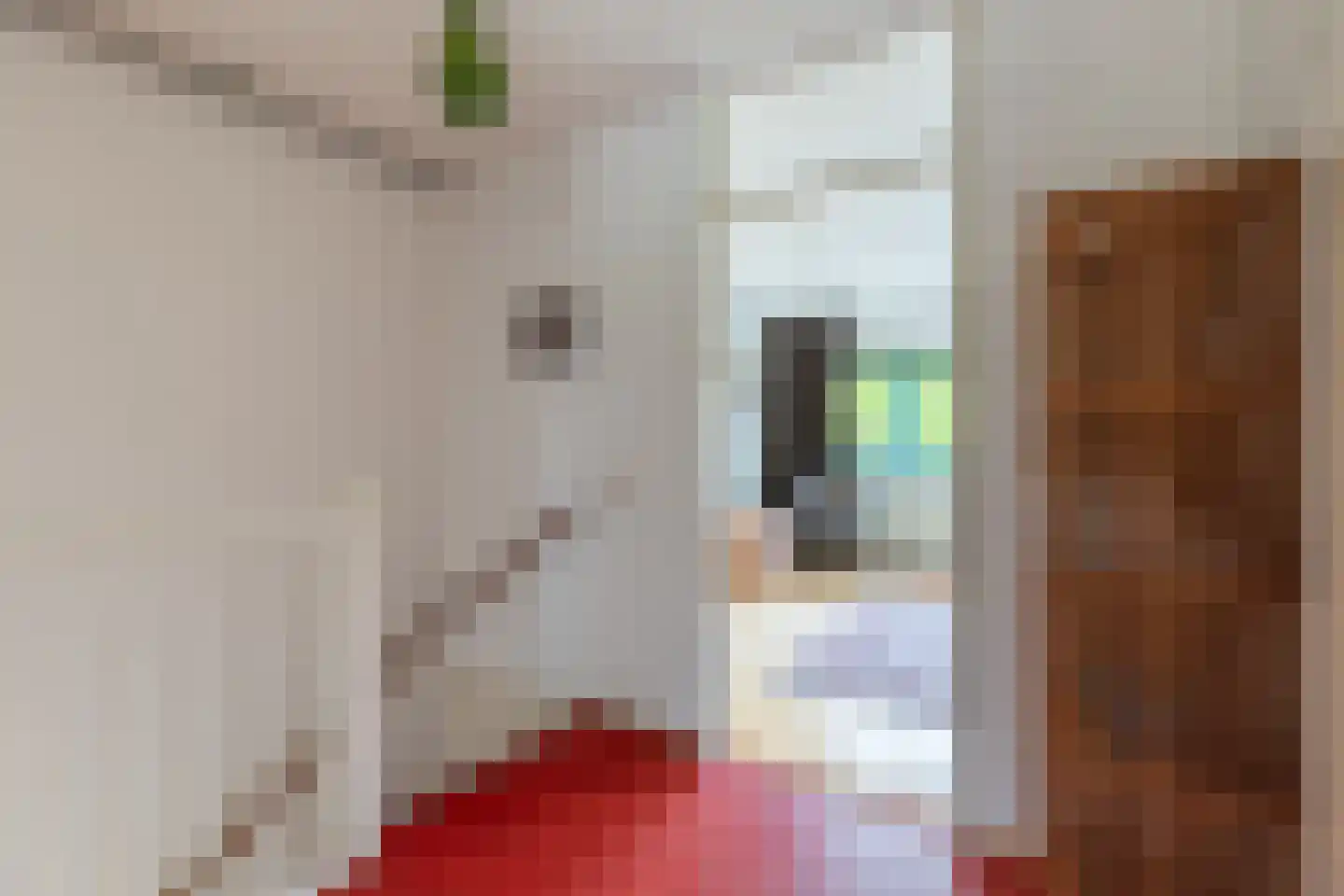 Gerda Brautigamstraat 21 Amsterdam thumbnail 14