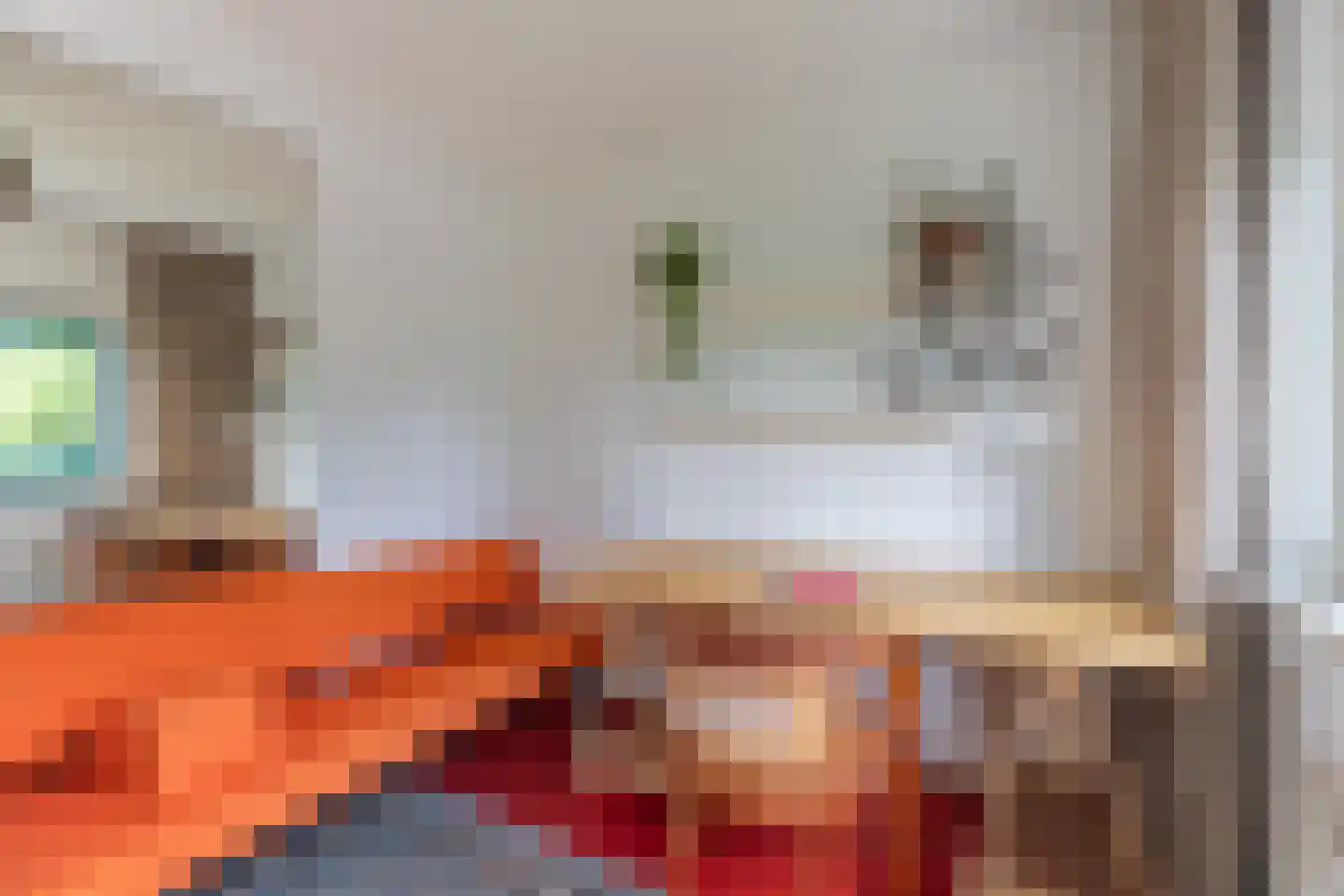 Gerda Brautigamstraat 21 Amsterdam thumbnail 19