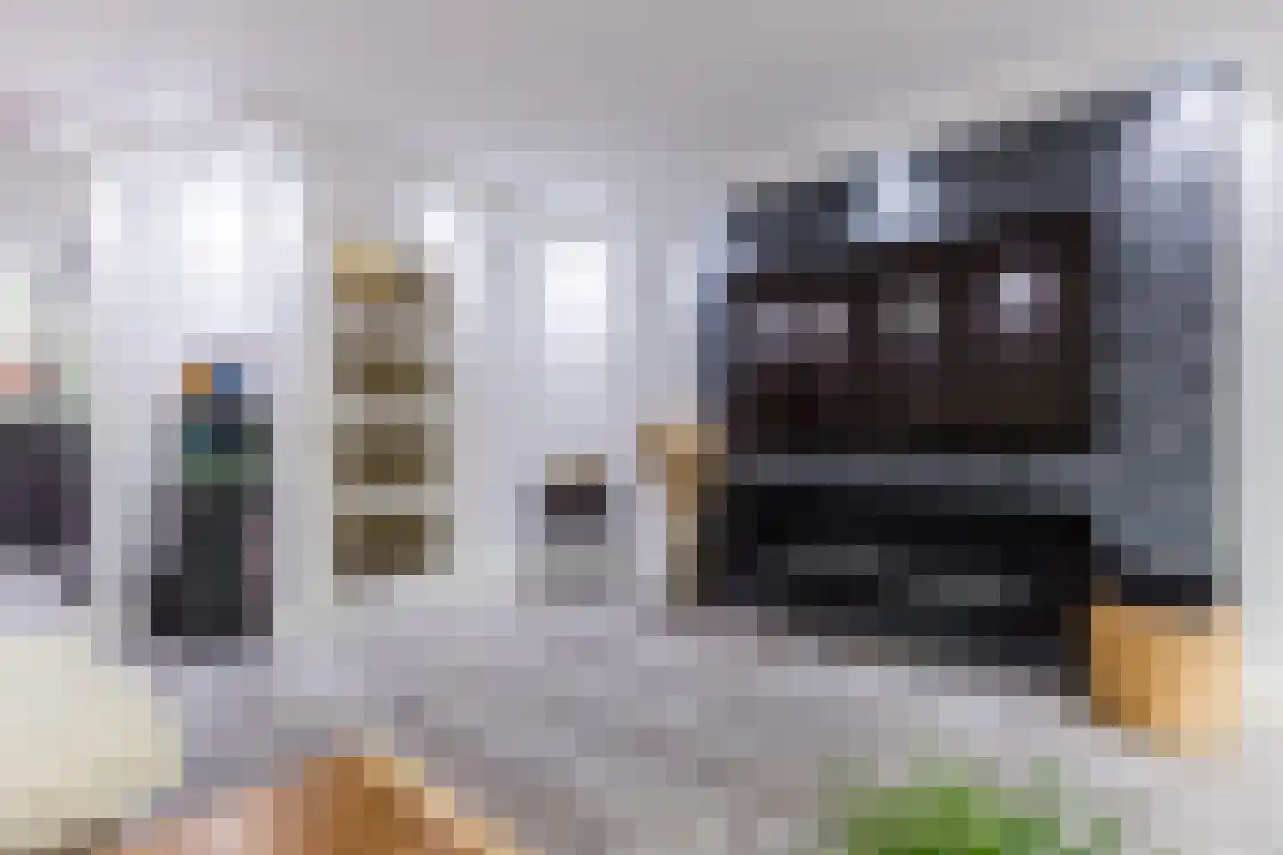 Gerda Brautigamstraat 29 Amsterdam thumbnail 12