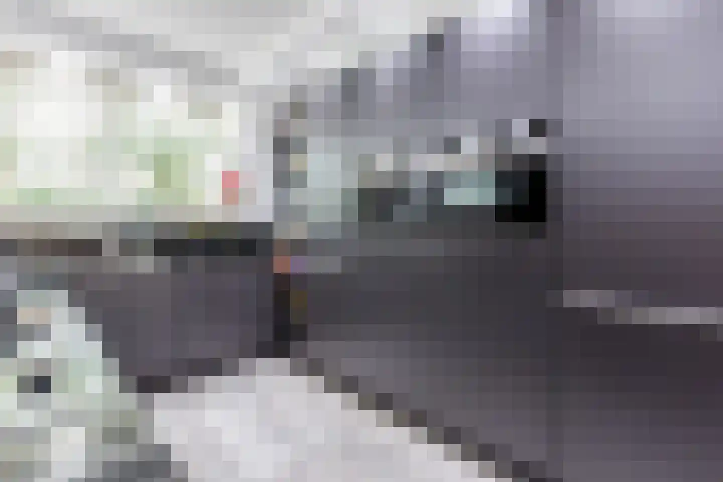 Gerda Brautigamstraat 29 Amsterdam thumbnail 17