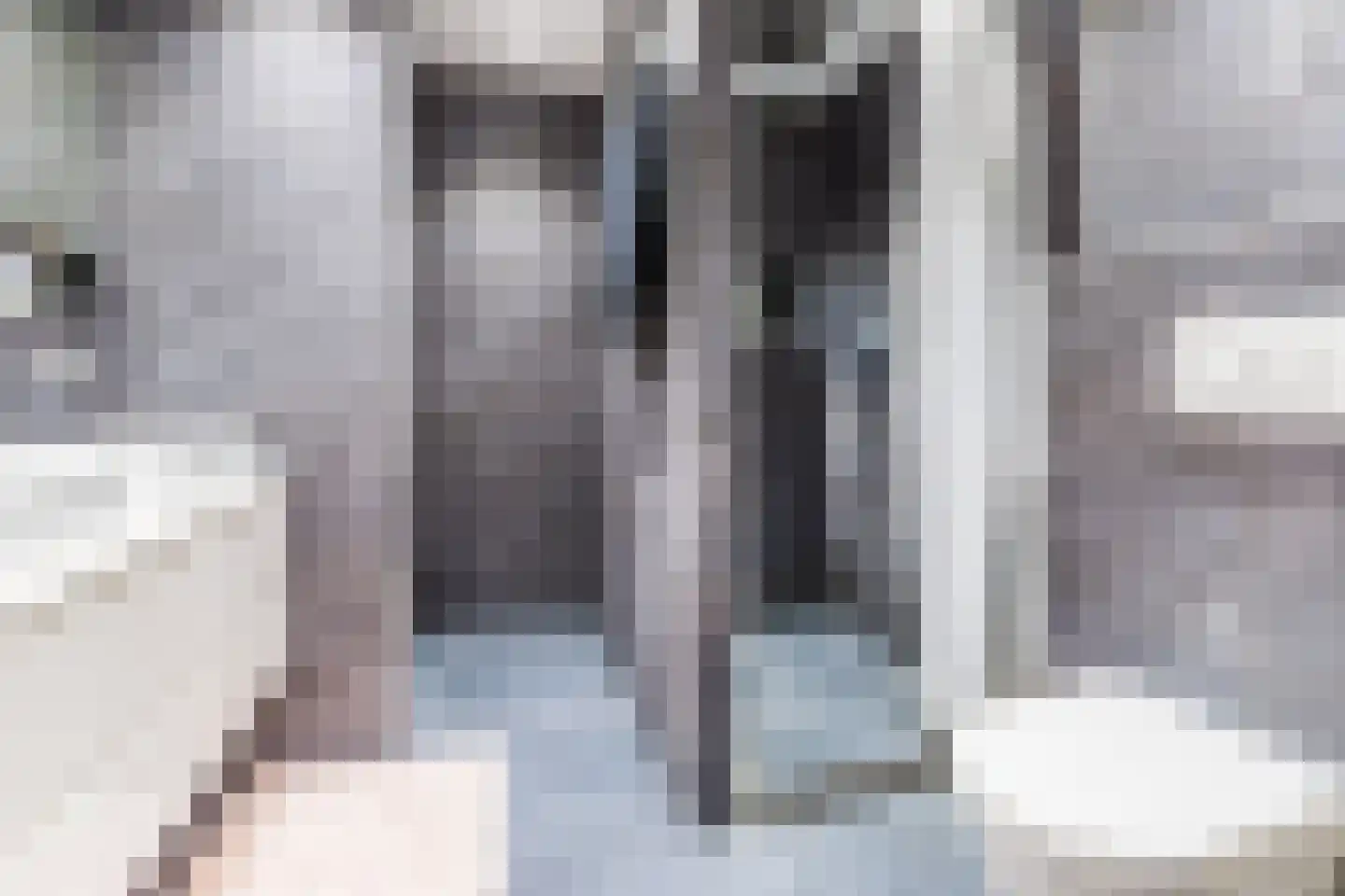 Gerda Brautigamstraat 29 Amsterdam thumbnail 35