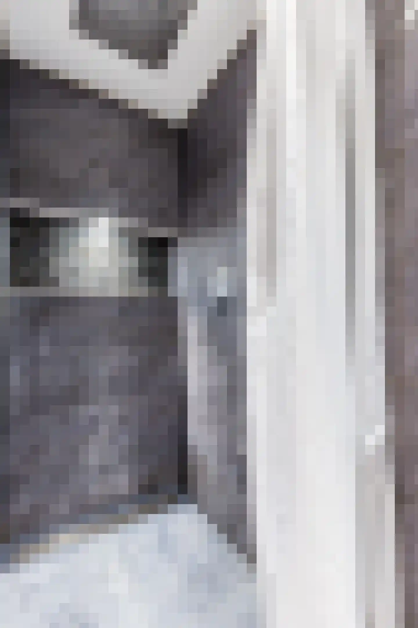 Gerda Brautigamstraat 29 Amsterdam thumbnail 37