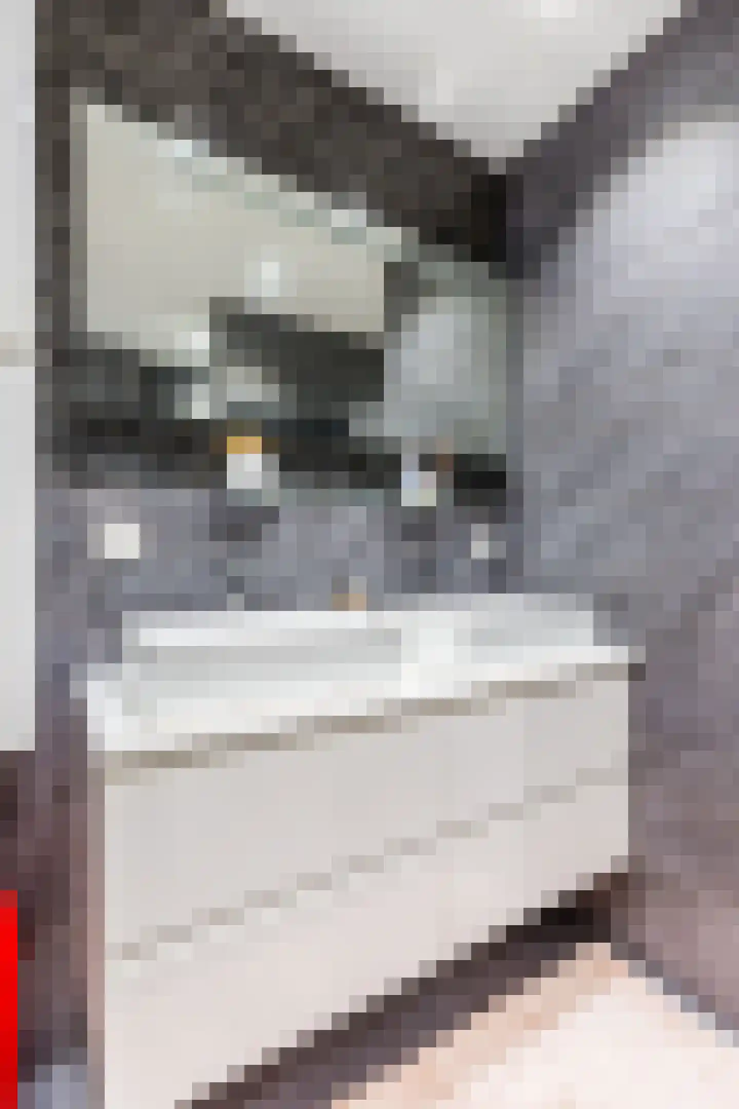 Gerda Brautigamstraat 29 Amsterdam thumbnail 38