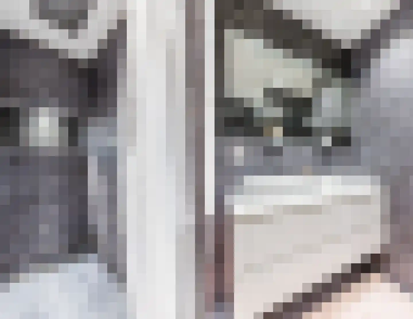 Gerda Brautigamstraat 29 Amsterdam thumbnail 39