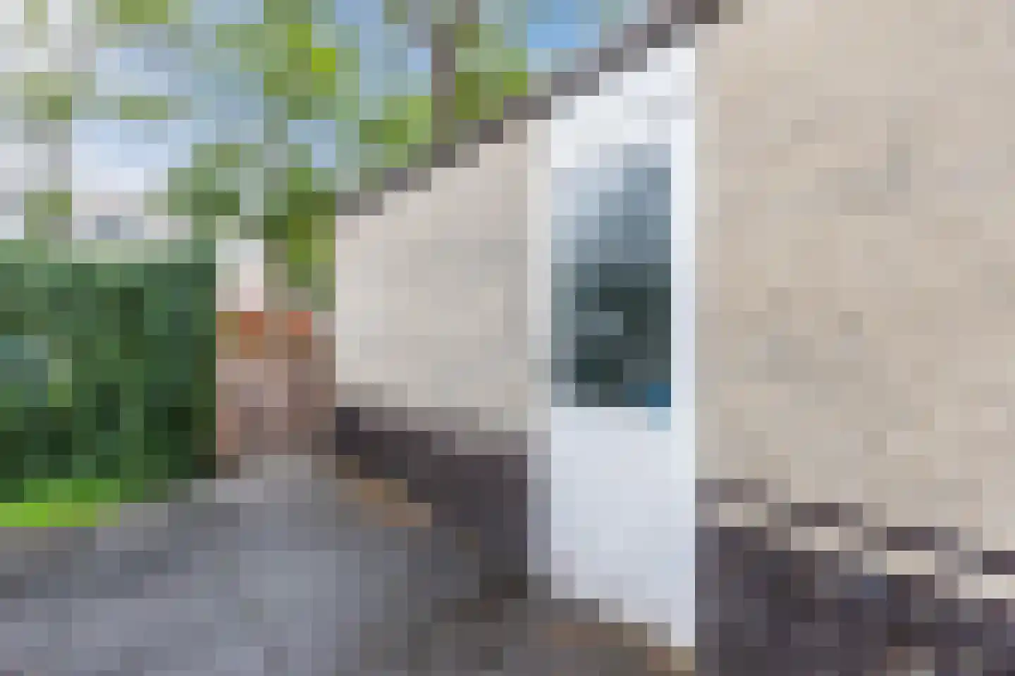 Gerda Brautigamstraat 29 Amsterdam thumbnail 5