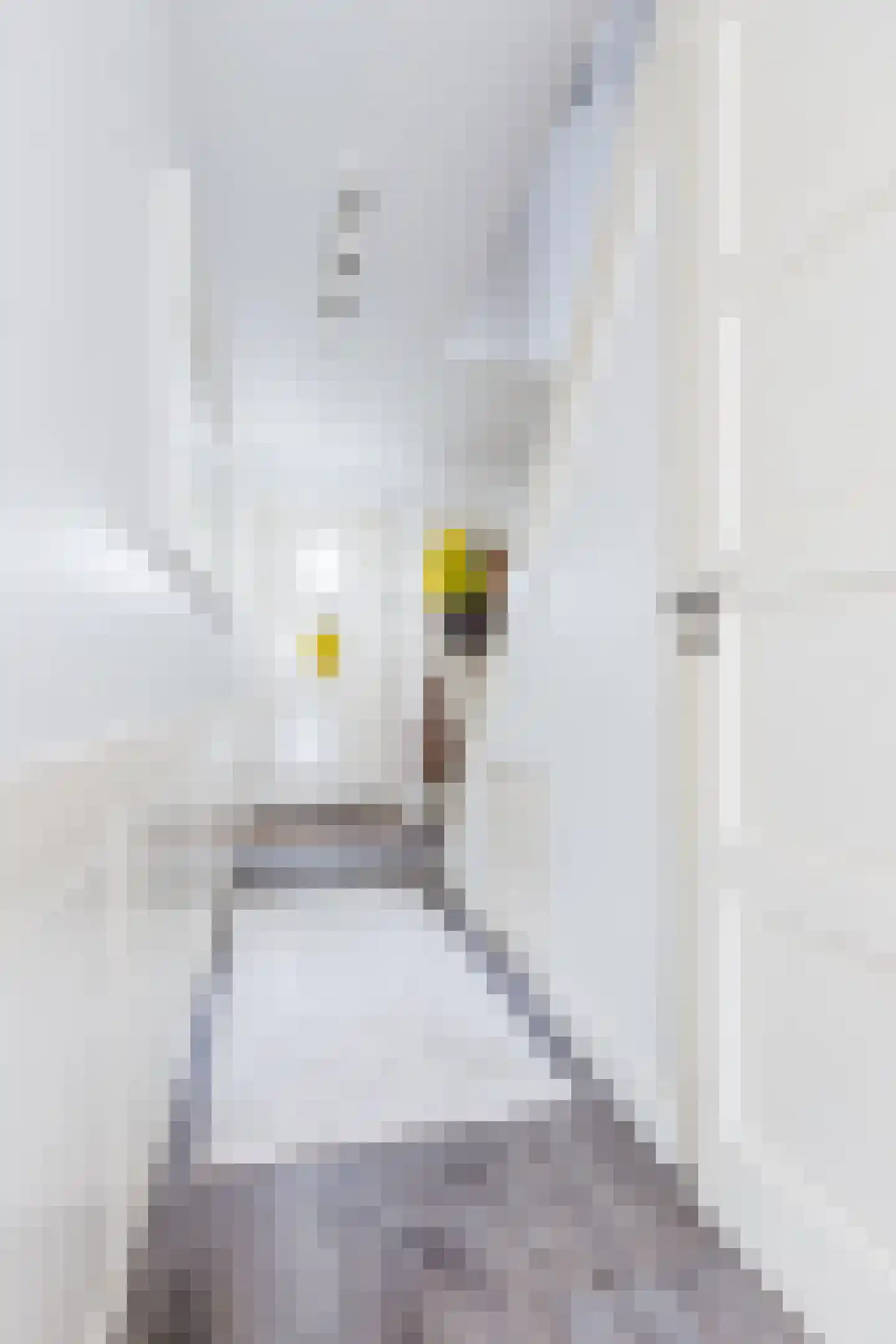 Gerda Brautigamstraat 29 Amsterdam thumbnail 7