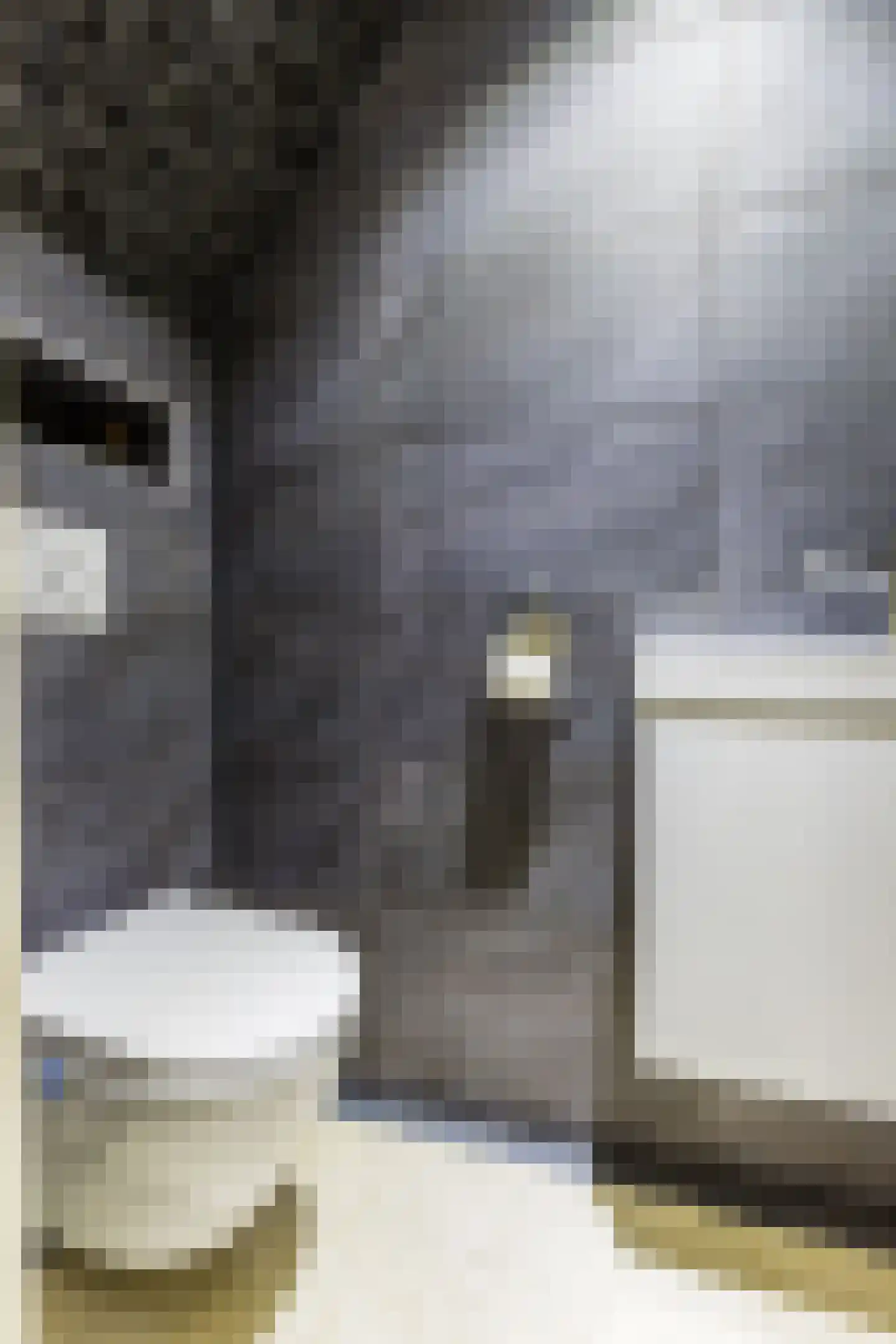 Gerda Brautigamstraat 29 Amsterdam thumbnail 8